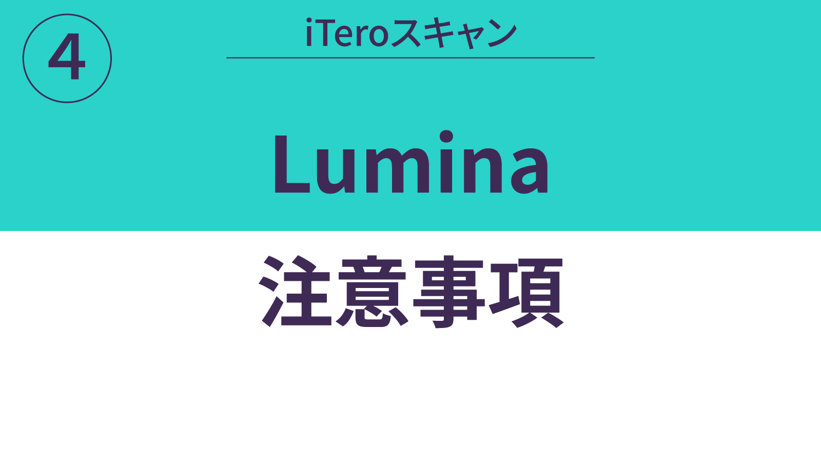 Lumina注意事項